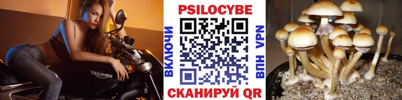 Галлюциногенные грибы GOLDEN TEACHER  Купить закладки  Ворсма 